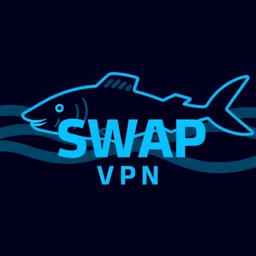 PnirateSwap VPN Logo